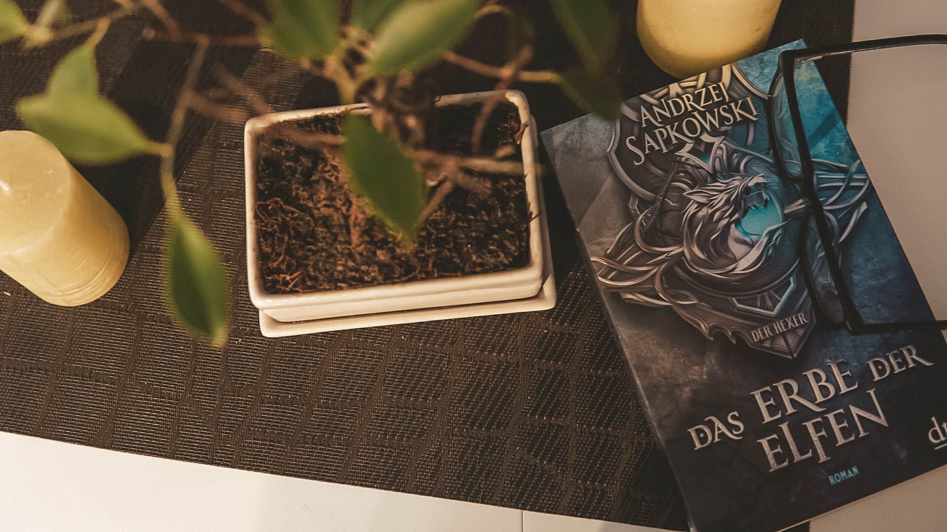 Buch Review: Das Erbe der Elfen - Die Hexer Saga (The Witcher)