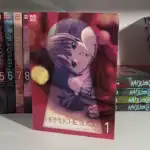 Ein Foto von einem Manga Regal. Im Vordergrund sieht man den Manga Heimliche Blicke Band 1. Zu sehen ist auf dem Cover ein Schlüsselloch, in das man hindurchguckt und eine junge Frau erblickt.